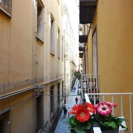 Domus 25 Bed & Breakfast 4*