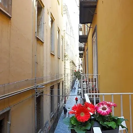Domus 25 Neapol