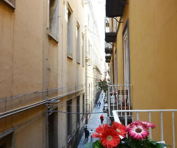 Domus 25 Bed and breakfast 4*